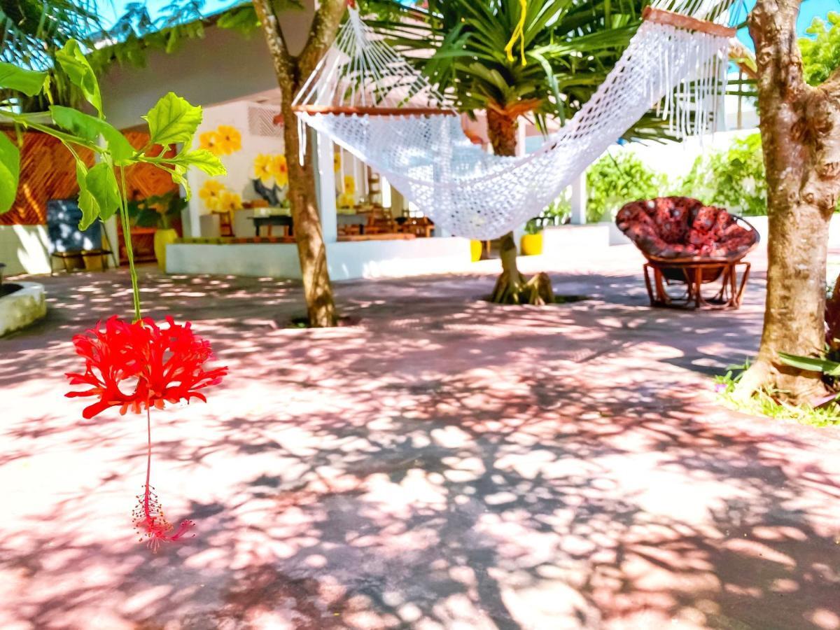 Papaya Guest House 南威 外观 照片